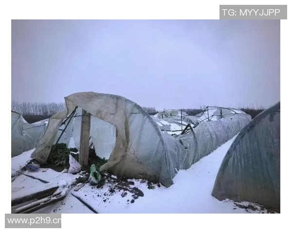 全球气候变化加剧极端天气事件 专家呼吁加强国际合作应对挑战